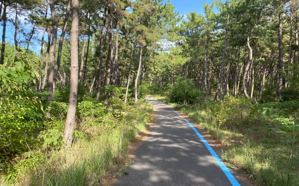海の中道コース